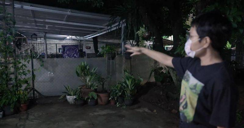 Youtube.com/Mandela Pictures